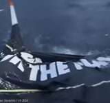 VG2024 Sam Goodchild Sail Failure